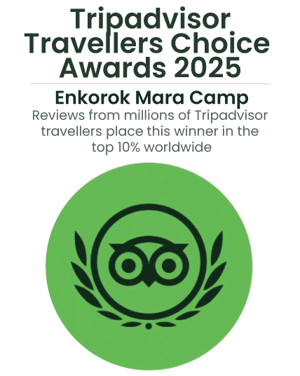 Tripadvisor Top 10 award for enkorok 2025