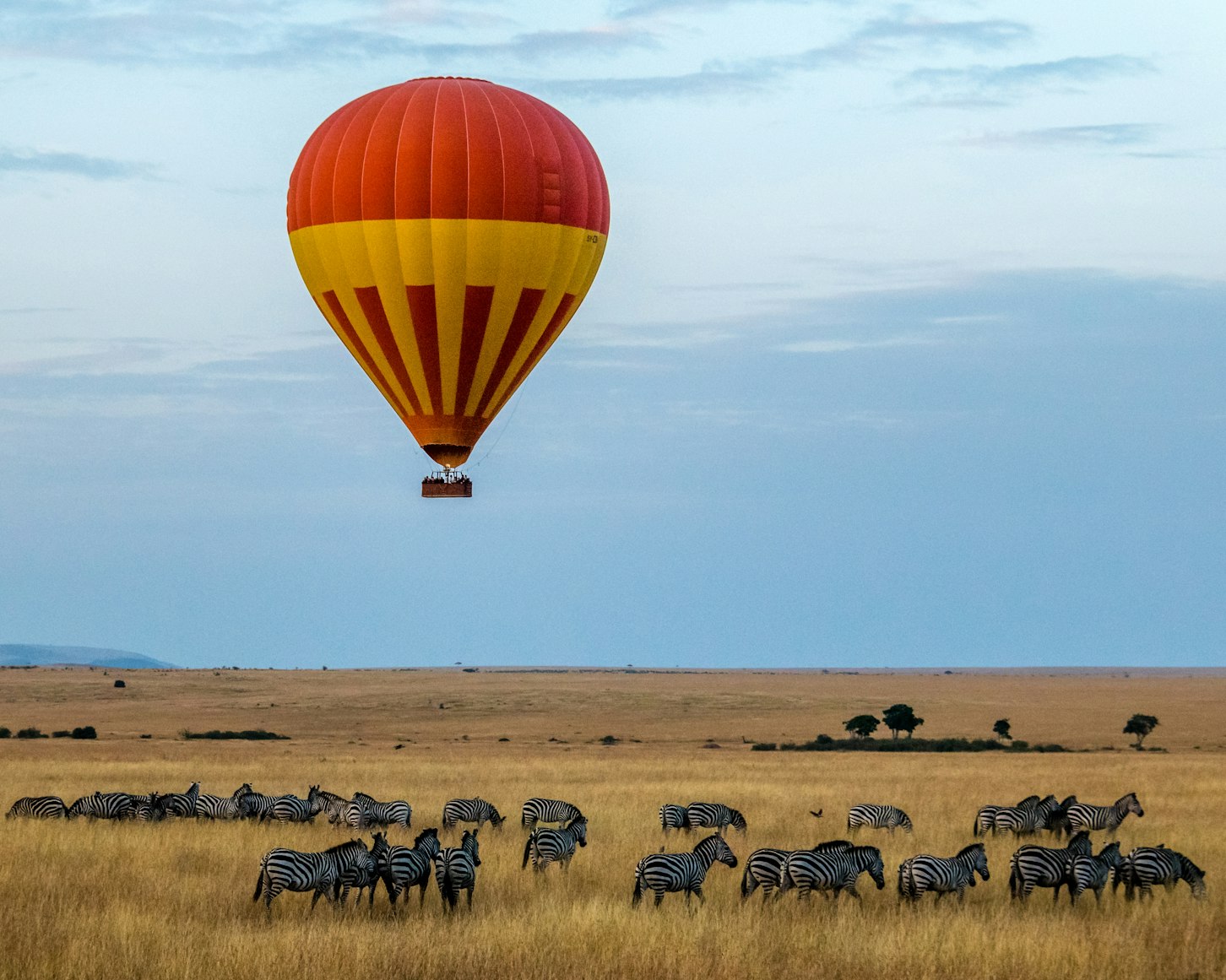 Balloon Safari in The Masai Mara